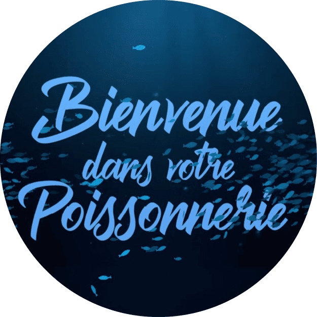 visu_hlo_site8